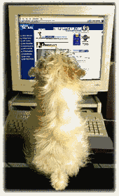 old-school gif of a dog sitting on front of a computer